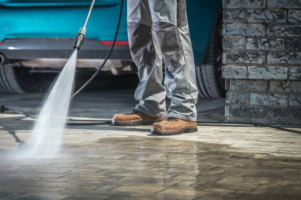 Best Paint Preparation  in Waterville, OH